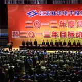 奮斗2013年，為開啟林洋事業(yè)新的征程而努力奮斗